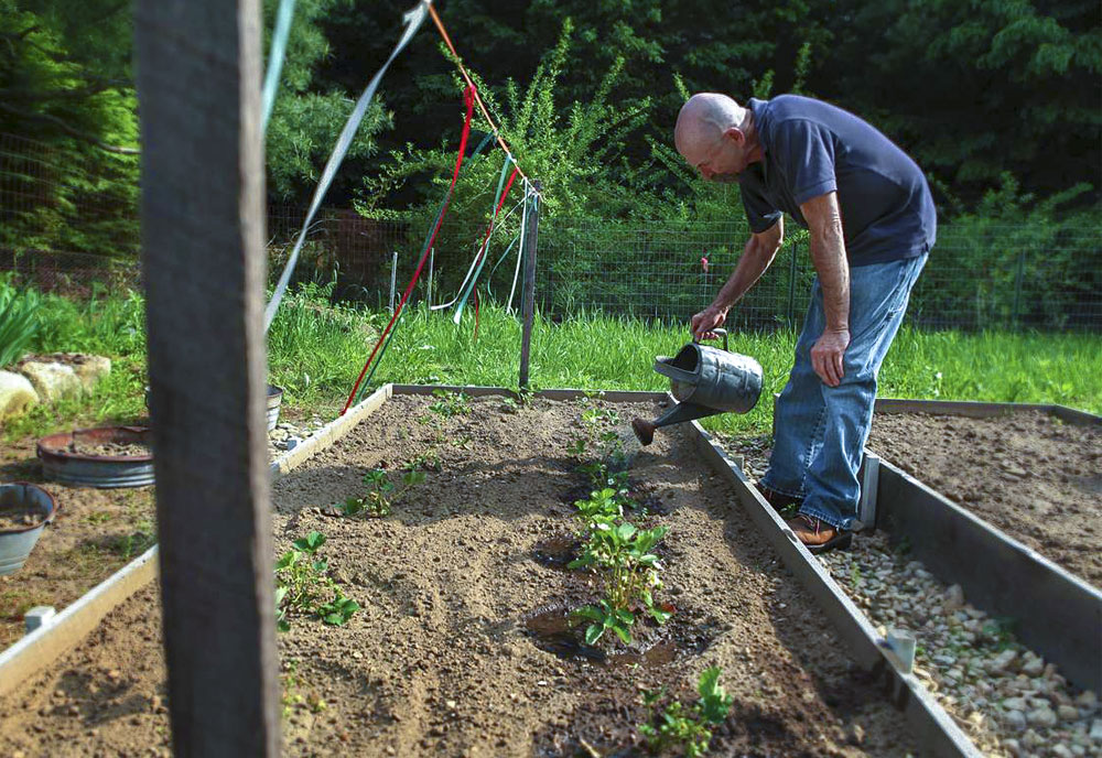 Ron Whitcomb working in the garden