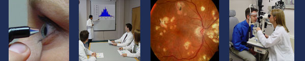 An eye, a presentation, a retina, and a slit lamp examination.