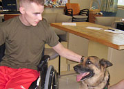 A man in a wheelchair pets a dog