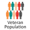 Veteran Population Icon