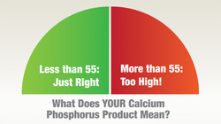 calcium phosphorus product levels chart showing less that 55 as just right and more than 55 as too high