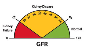 GFR Dial