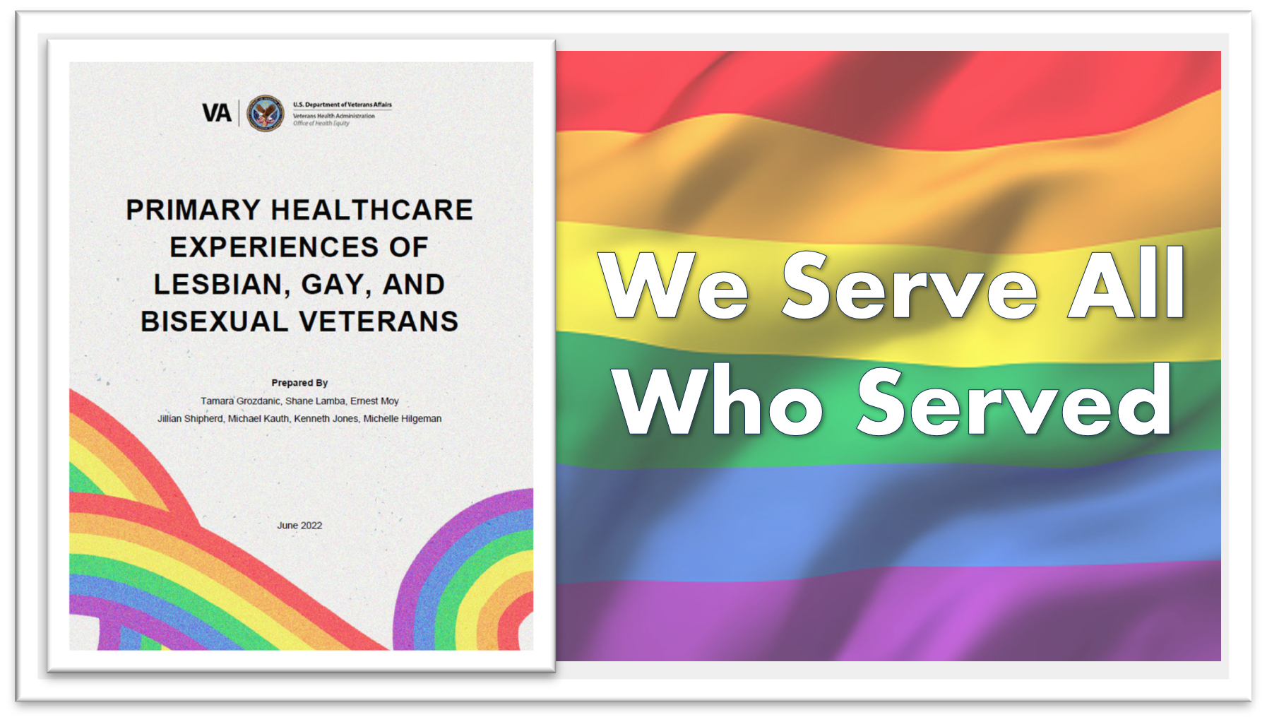 Primary Healthcare Experiences of Lesbian, Gay, and Bisexual Veterans