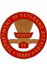 15 year VA service pin