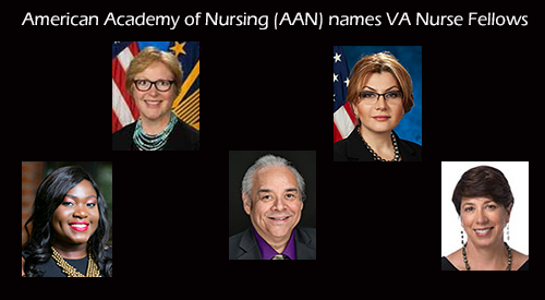 American Academy of Nursing – New VA Fellows Announced