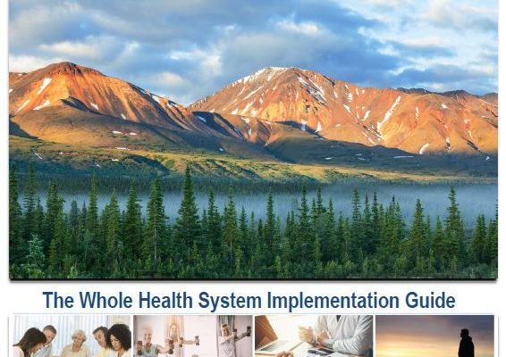 Whole Health Implementation Cover