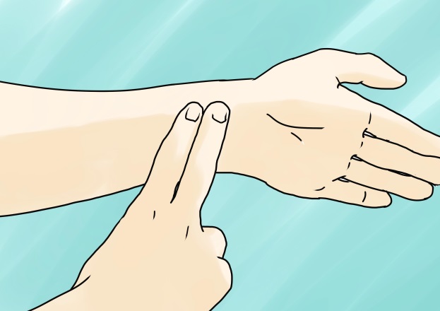 Drawing of two hands where the right hand is using the forefinger and middle finger to take the pulse of the left arm.