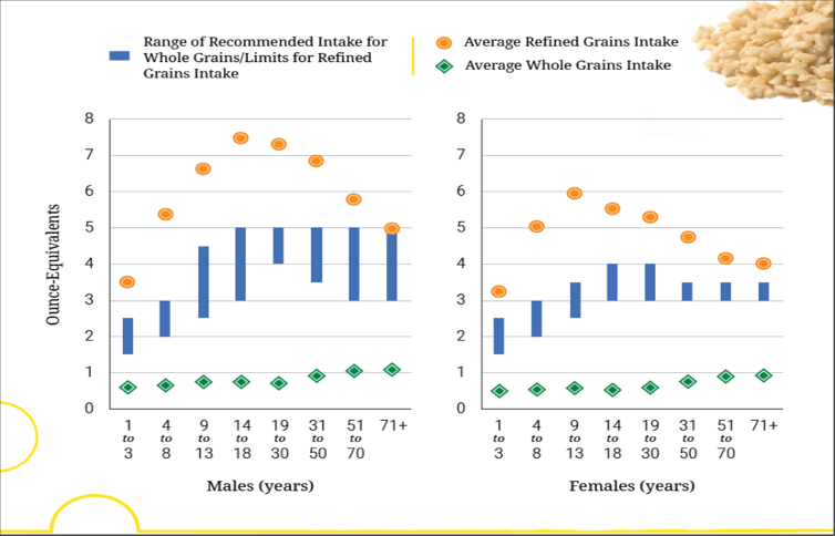 Bar graphs showing that for both males and females, people are eating too much refined grains and eating enough whole grains.