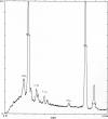  Figure 3 represents spectra from inclusion probe spot. 