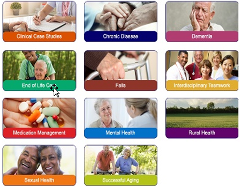 Various learning topics for Geriatric Scholars Virtual Learning Community (VLC)