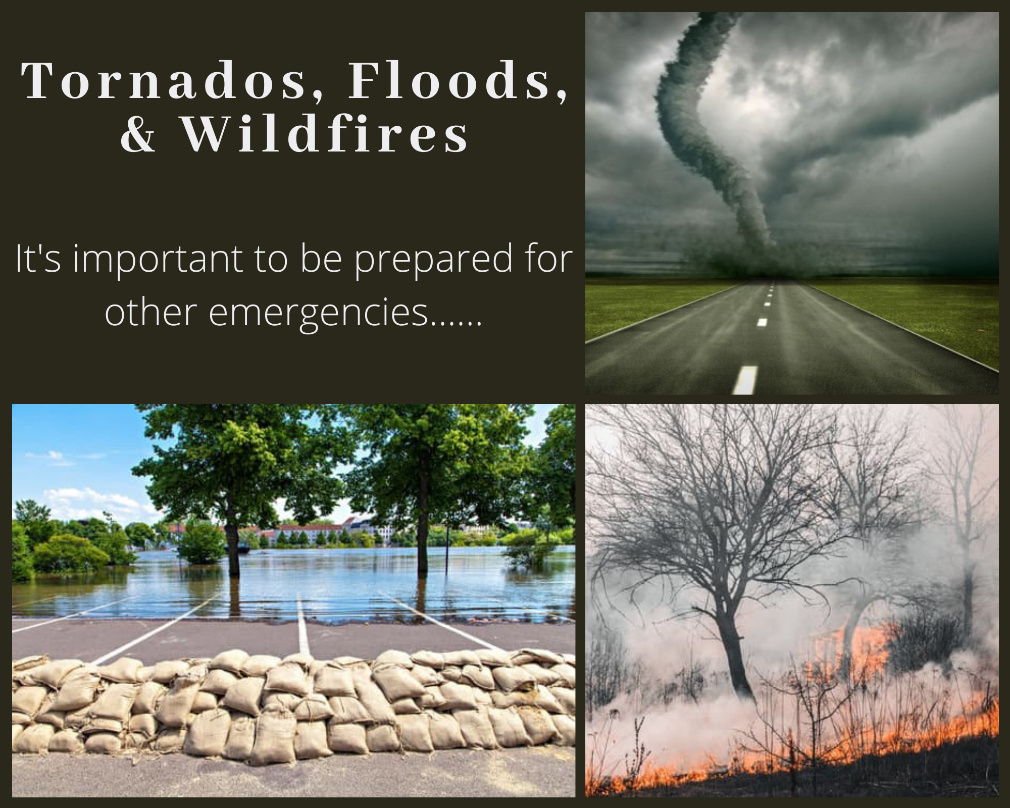 https://www.va.gov/img/2022-03/Tornados%2C%20Floods%2C%20%26%20Wildfires%20Collage.png