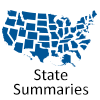 State Summaries Icon