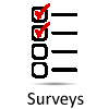 Surveys Icon