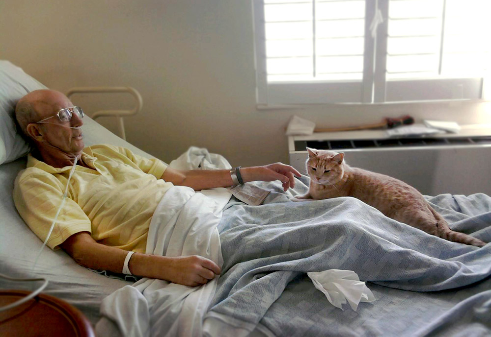 Image of an elderly, bed-ridden Veteran reaching out to touch an orange tabby cat. Image of an elderly, bed-ridden Veteran reaching out to touch an orange tabby cat.